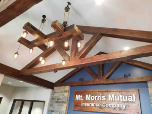 Mt. Morris Light Fixture